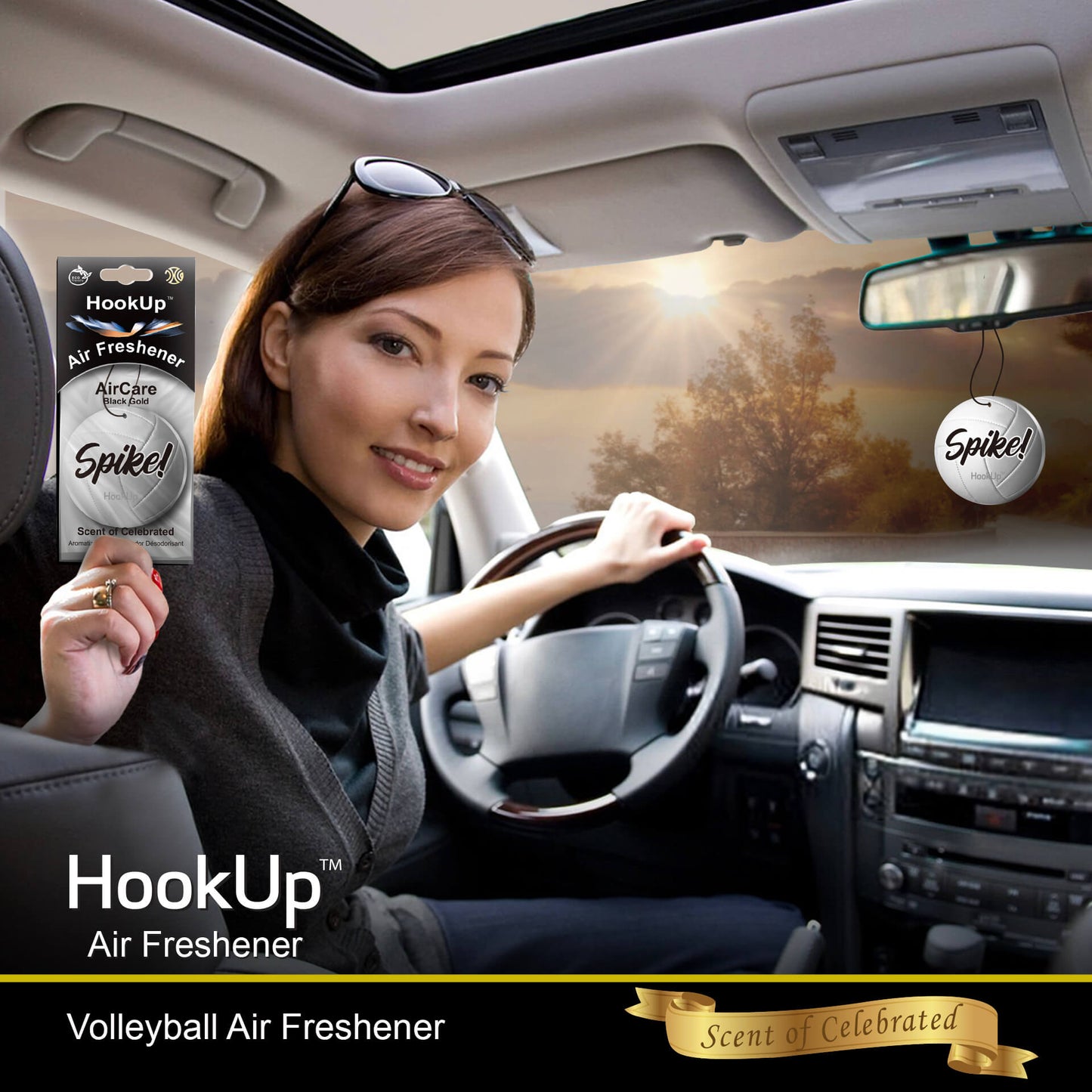 Volleyball Air Freshener (4 Pack)
